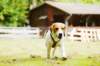 _69i0205_small.jpg