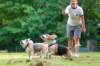 _69i0567_small.jpg
