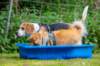 _69i0645_small.jpg