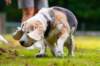_69i0723_small.jpg