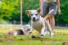_69i0842_small.jpg