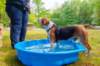 _mg_8800_small.jpg
