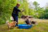 _mg_8808_small.jpg